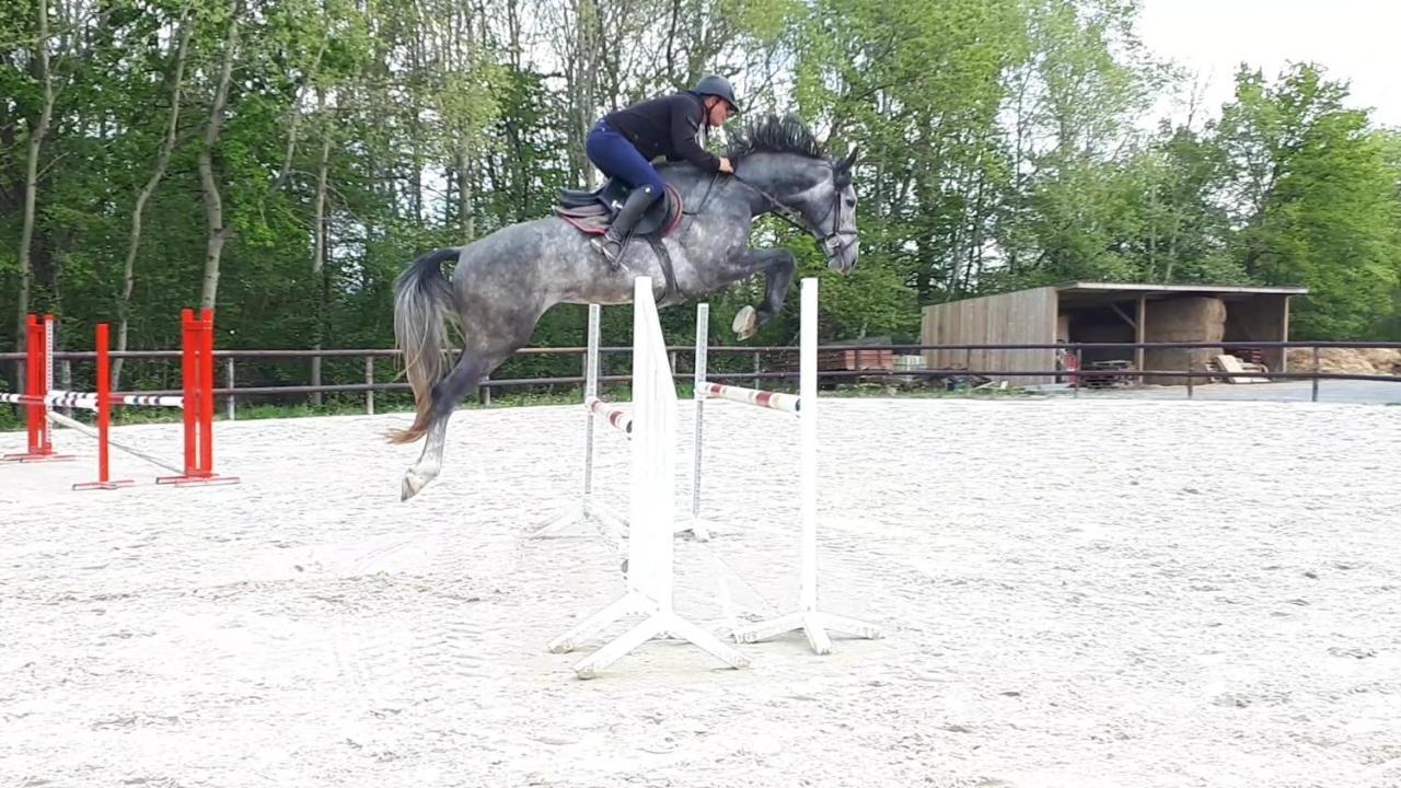 Gite Du Haras De Vales Moult Zewnętrze zdjęcie