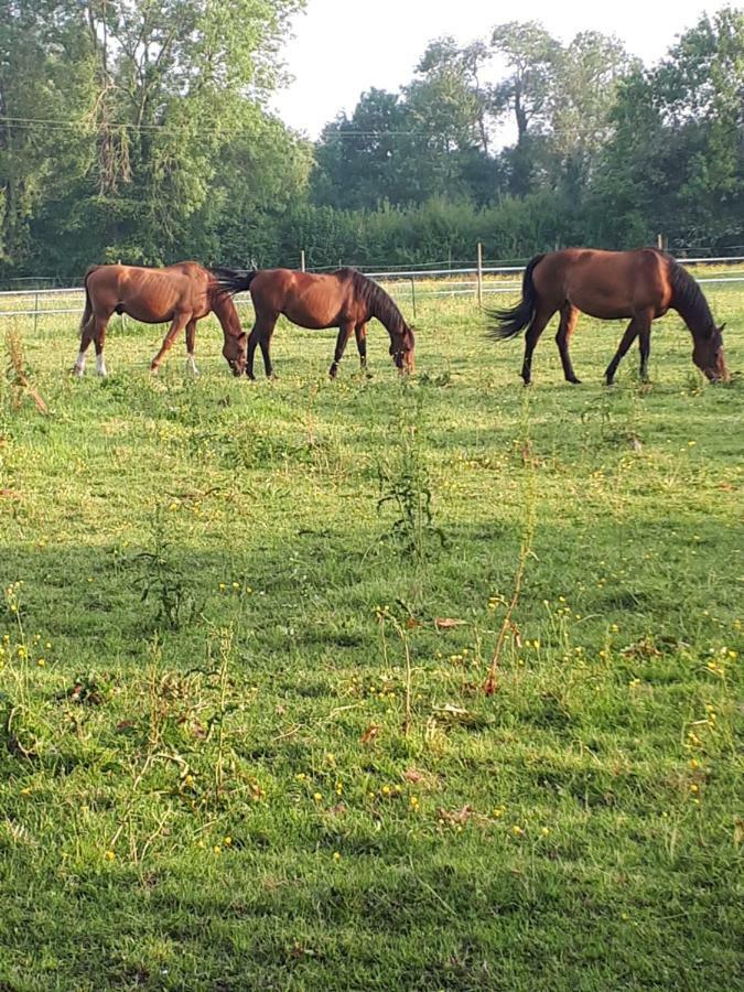 Gite Du Haras De Vales Moult Zewnętrze zdjęcie