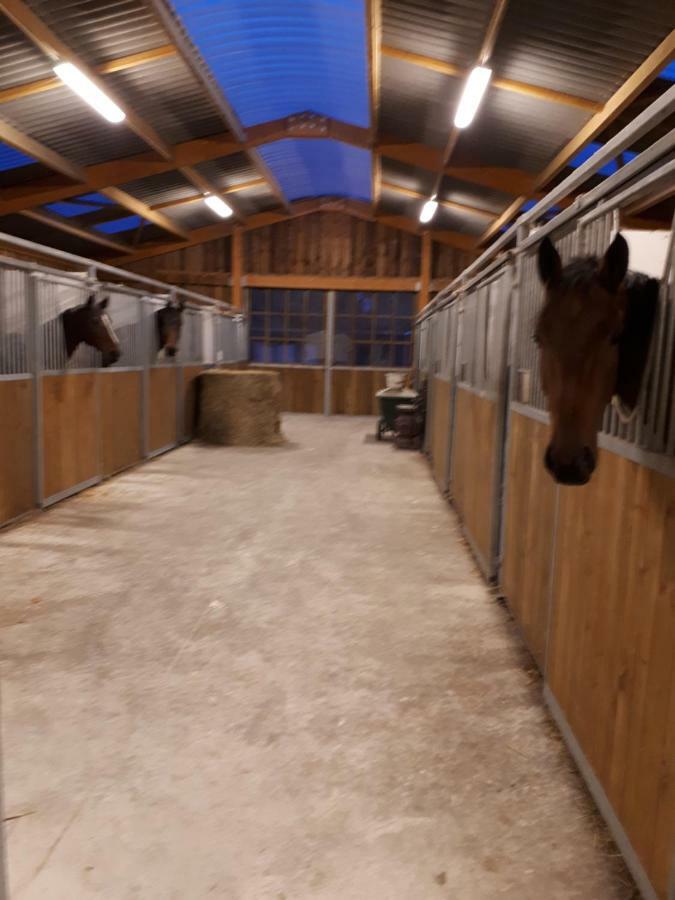 Gite Du Haras De Vales Moult Zewnętrze zdjęcie